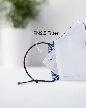 PM2.5 Filters & Nose Wire Bundle