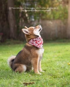 karakusa bandana shiba