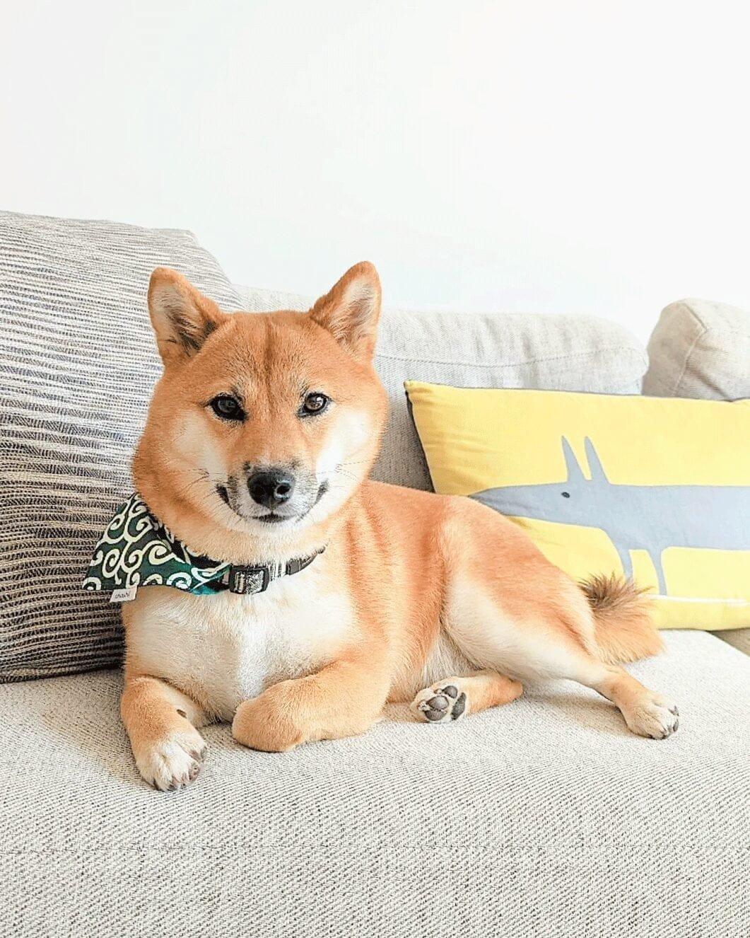 karakusa-green-pet-bandana-1