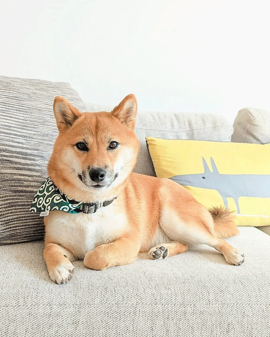 karakusa-green-pet-bandana-1