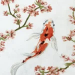 Koi