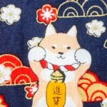 Shiba | Navy