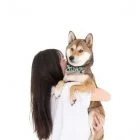 ohashii-ahri-lifestyle-bow-1
