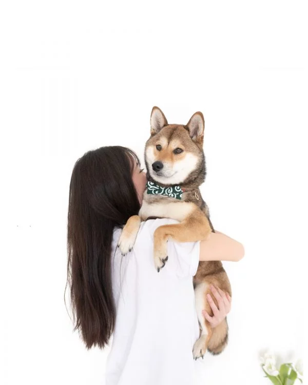 ohashii-ahri-lifestyle-bow-1