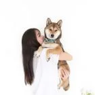 ohashii-ahri-lifestyle-bow-3