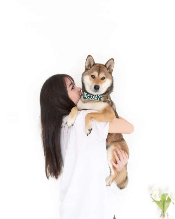 ohashii-ahri-lifestyle-bow-3