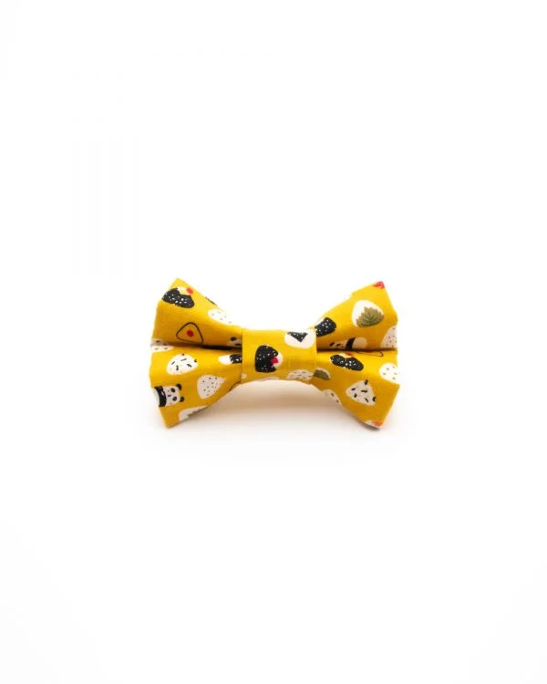 pet-bow-tie-ohashii-3