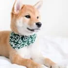 pet-bandana-ohashii-karakusa-3