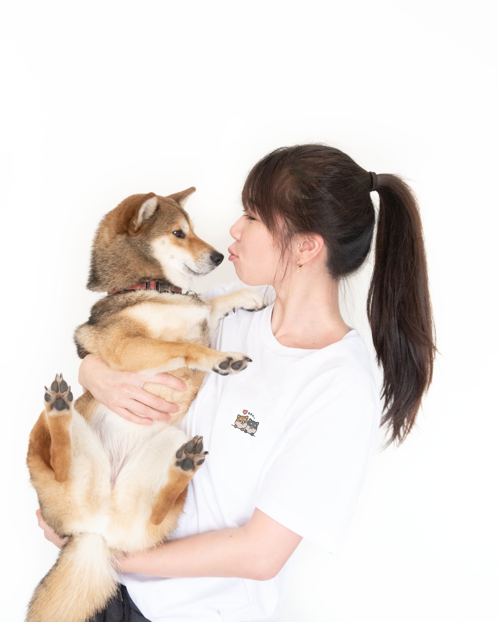 Shiba-stuck-on-you-white-tee-ohashii-2