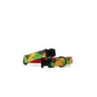 dog-collar-cuboid-ohashii-2