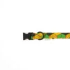 dog-collar-cuboid-ohashii-3