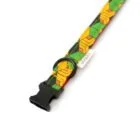 dog-collar-cuboid-ohashii-4