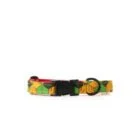 dog-collar-cuboid-ohashii-5