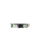 Dog-Collar-ohashii-Momoji-1