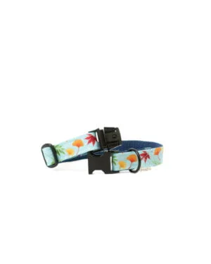 Dog-Collar-ohashii-Momoji-4