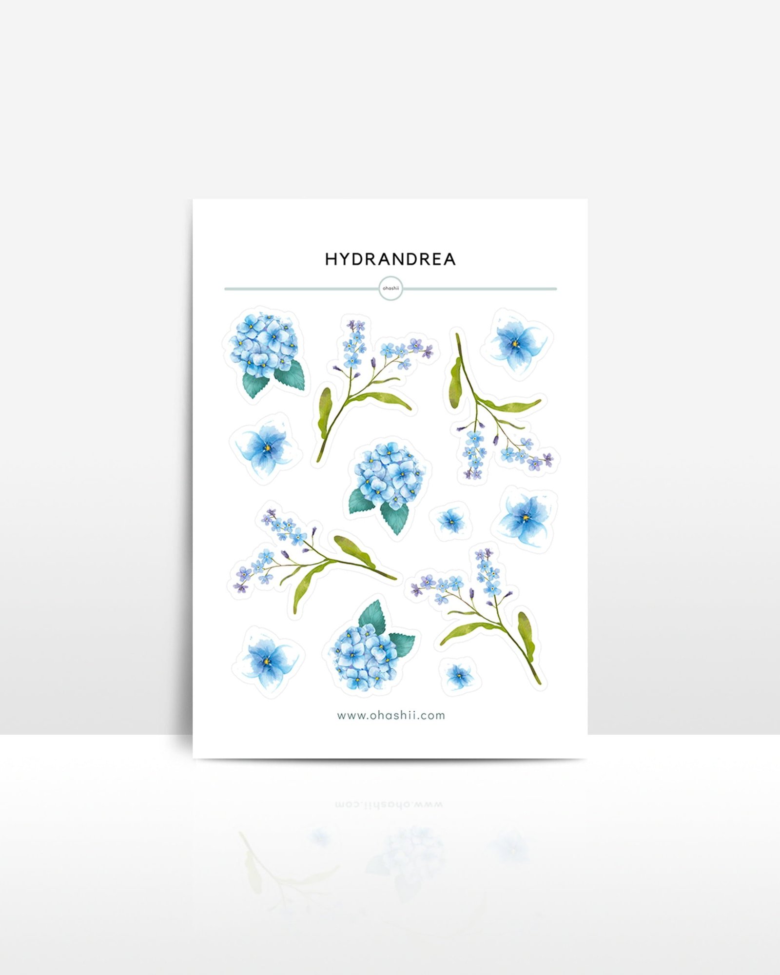 ohashii sticker sheet Hydrandrea 3 MOCK UP