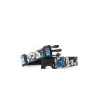 Dog-Collar-Kanagawa-ohashii-1