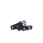 Pet-Collar-Usagi-blue-1-ohashii
