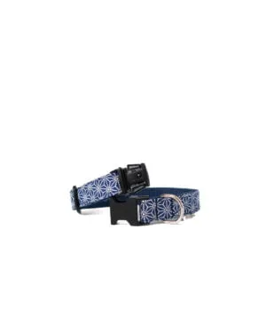 Pet-Collar-KASANOHA-BLUE-1-ohashii