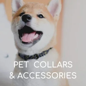Pet Accessories