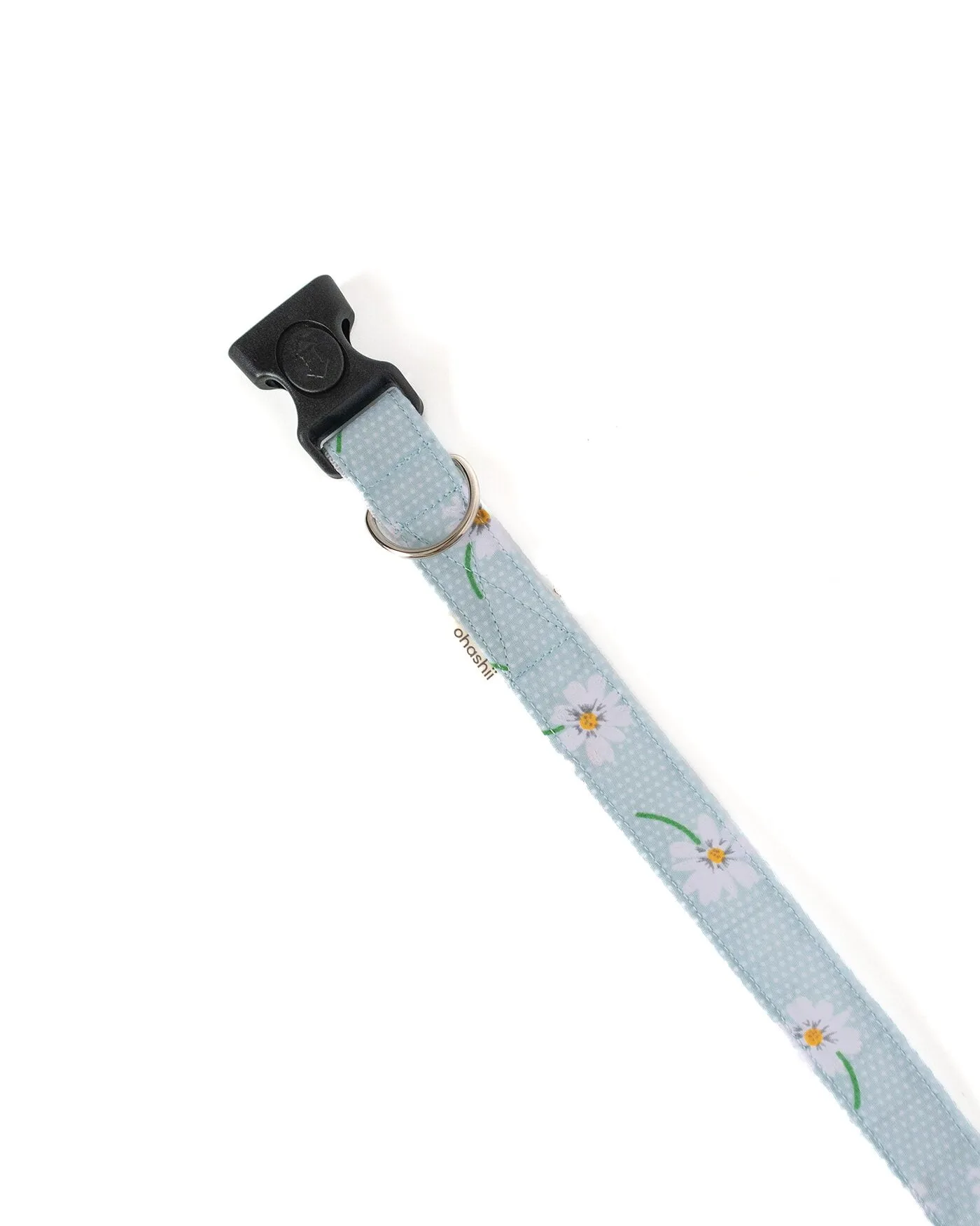 Pet-Collar-DAISY 2-ohashii