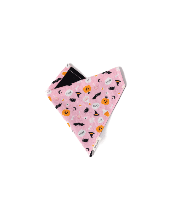 Pet-Bandana-BOO-ohashii