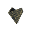 Pet-Bandana-Kumo-ohashii