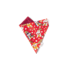 Pet-Bandana-LUCKY-SHIBA-ohashii