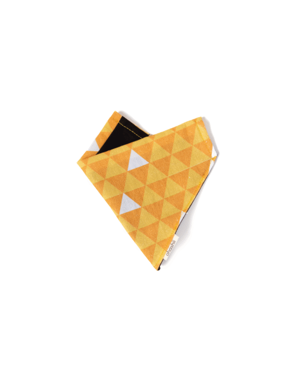 Pet-Bandana-SANKAKU-ohashii