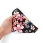 Pet-Bandana-hanami-ohashii-1