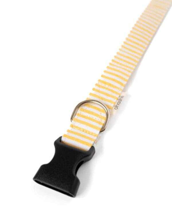 STRIPE-Pet-Collar-ohashii-2