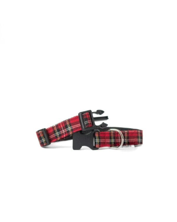 Dog-Collar-Plaid-1-ohashii