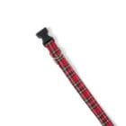 Dog-Collar-Plaid-ohashii-2