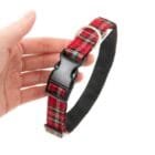 Dog-Collar-Plaid-ohashii-3