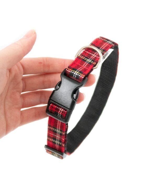 Dog-Collar-Plaid-ohashii-3